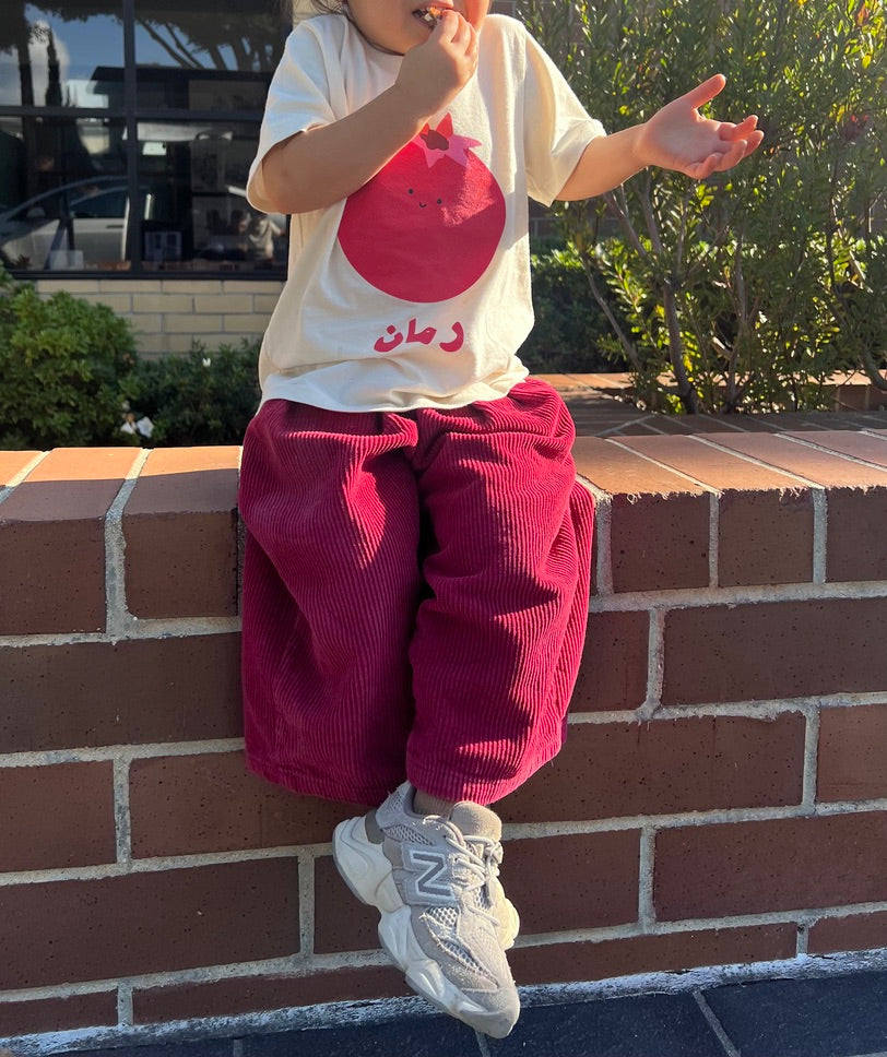 Child wearing a white t-shirt with a red graphic and maroon pants sitting on a brick wall.