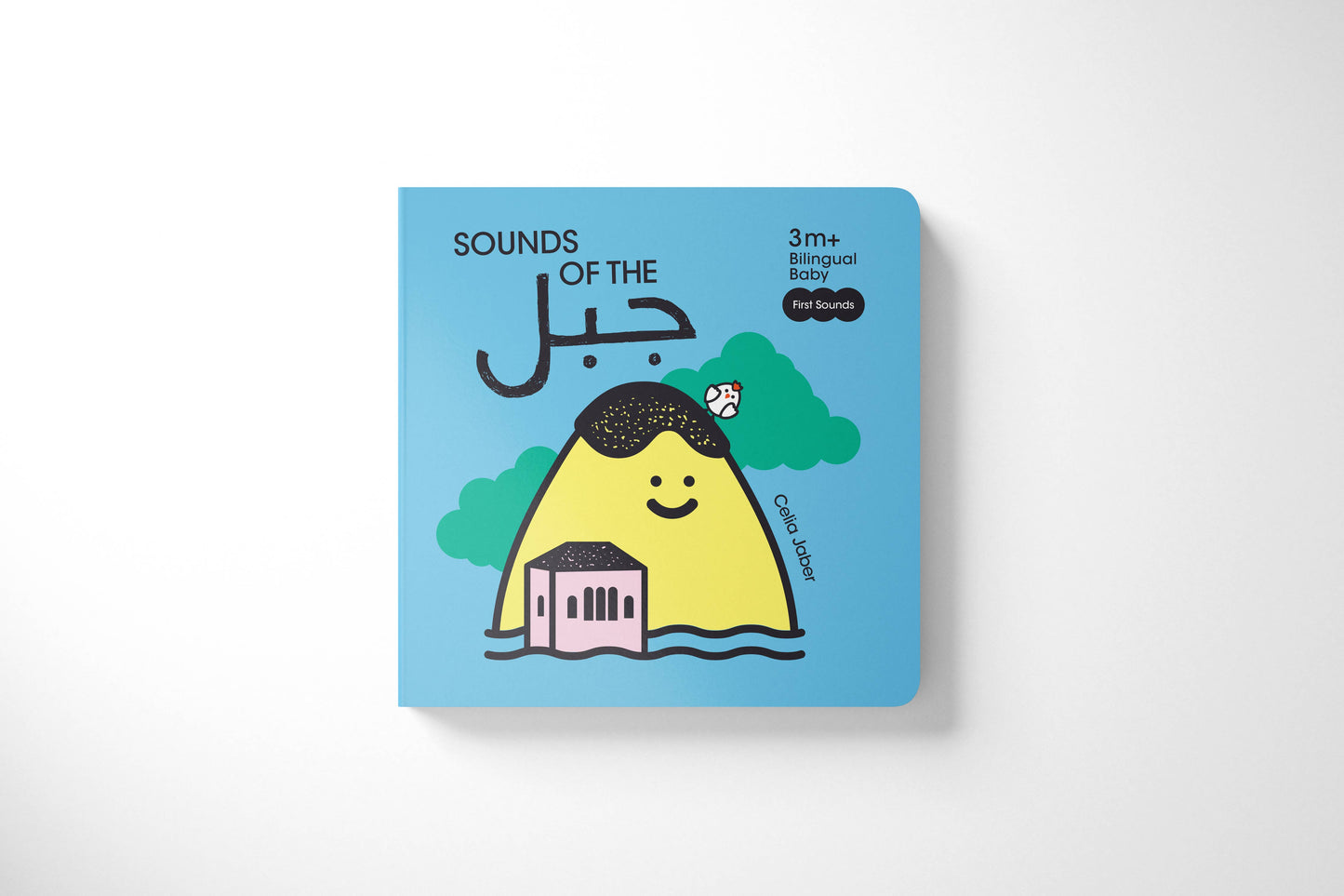 Baby’s First Year Arabic Bilingual Book Set | 0-12 m